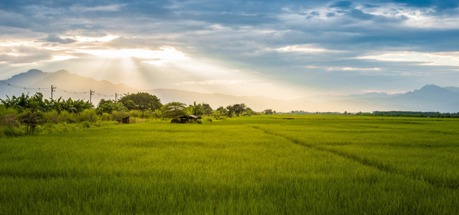 What is a Land Bank?